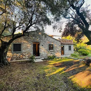 La Casina Di Susy Casa vacanze Seravezza